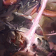 Image for article titled Calader's Art Takes Star Wars to the Brink